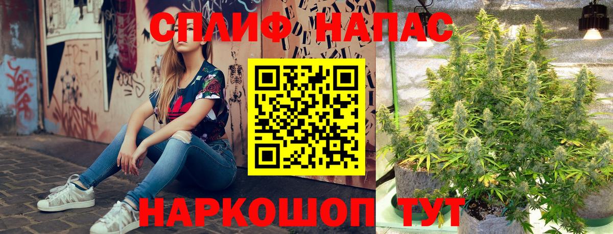 Конопля гибрид  Бошки марихуана семена  Ачинск  Конопля Amnesia  Вход с VPN 